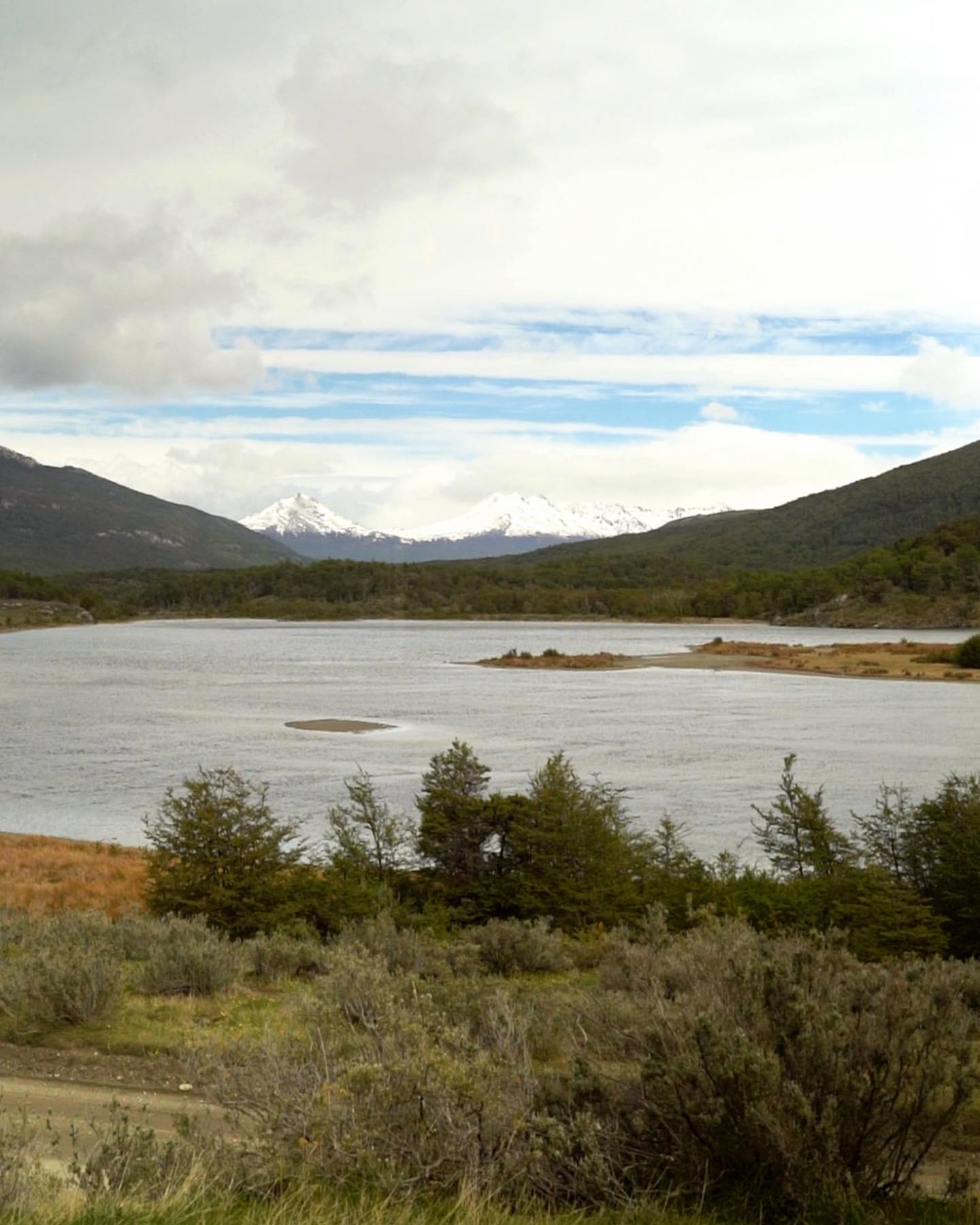 Flamencos rosados reflejados en la laguna Nimez