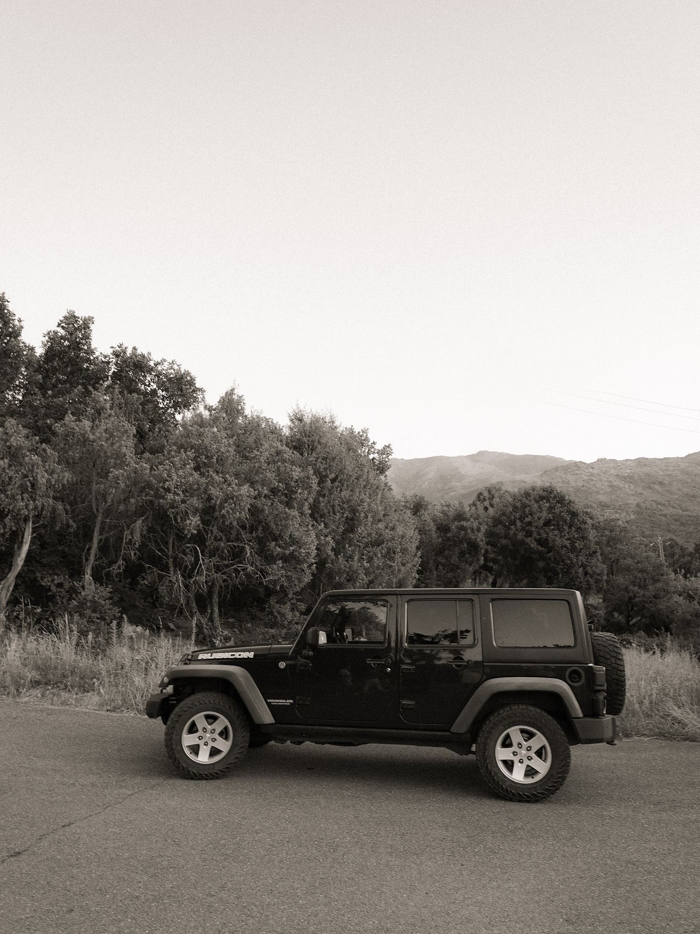 Horse and donkey peeking over a hay bale in a Sierra de Gredos stable.