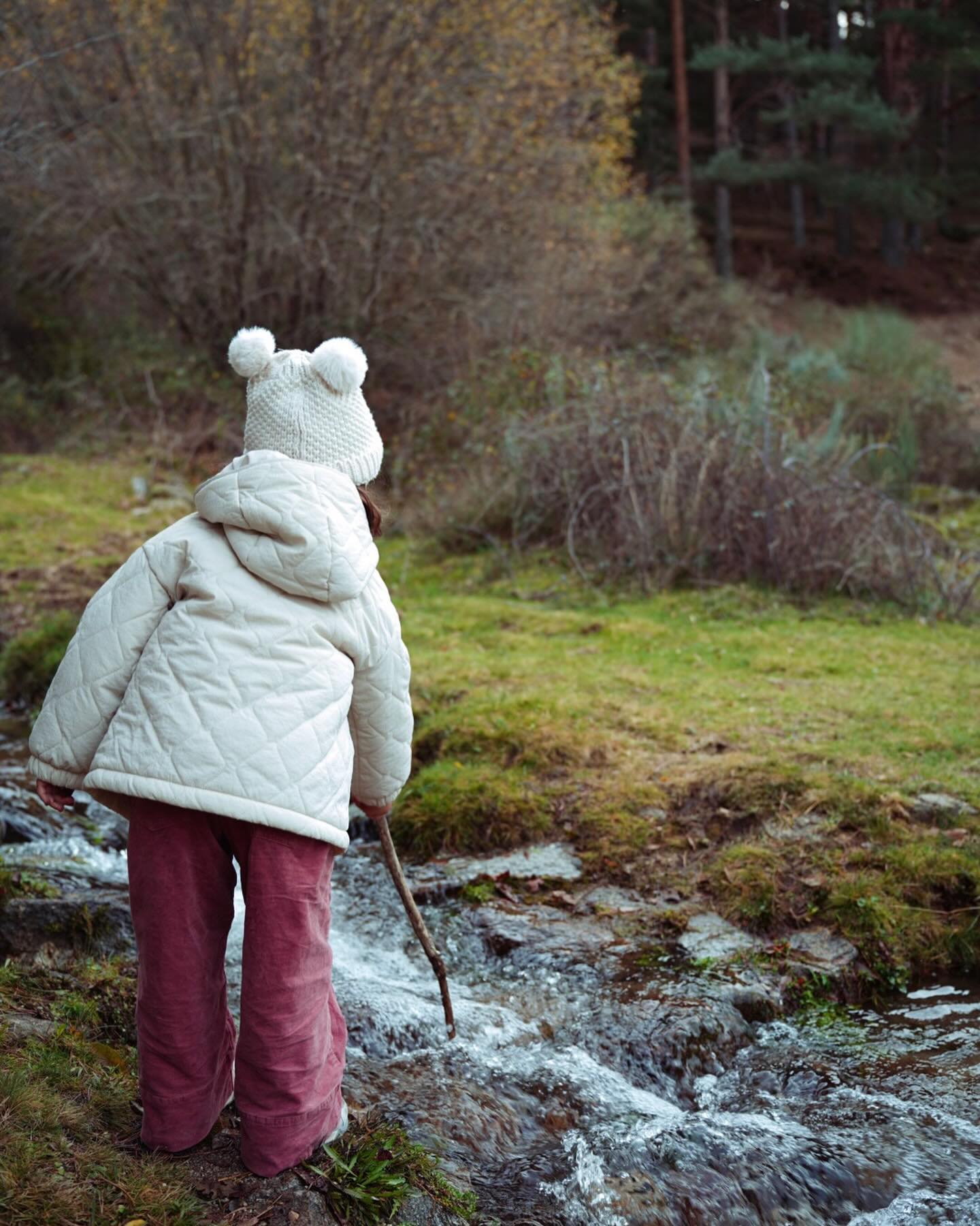 Fotografía de la serie Gredos: animales, campo o paisaje de la Sierra de Gredos · fotograma 06