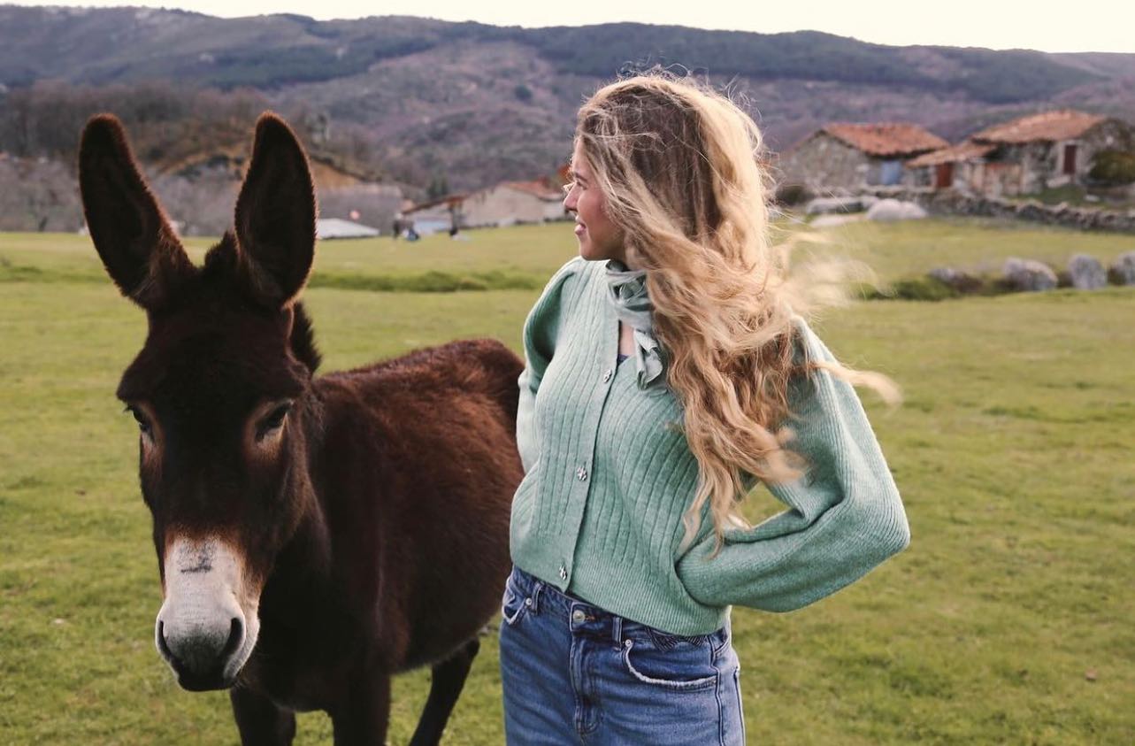 Flor de malva levantándose del matorral en Gredos