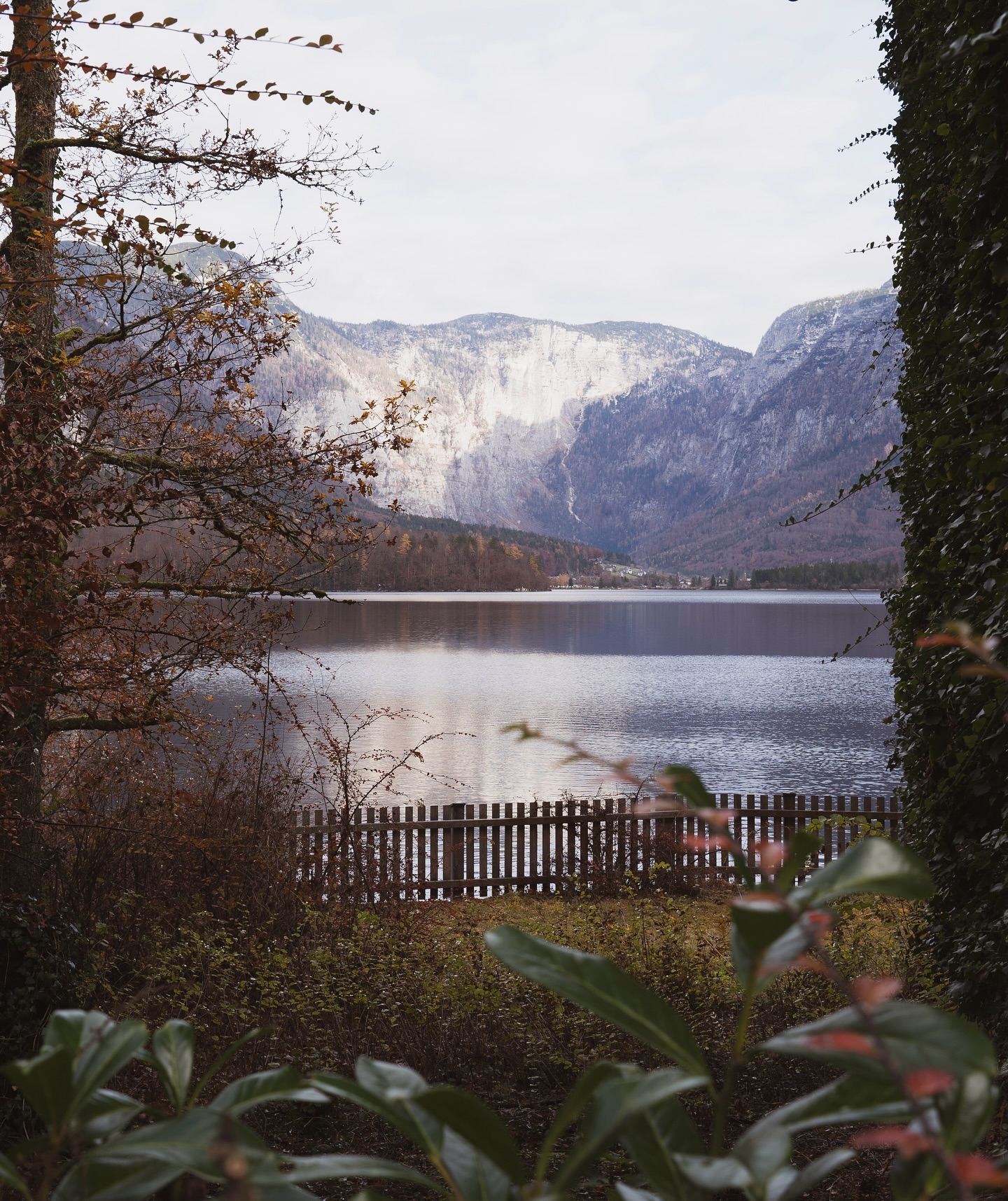 Photograph from Winter in Europe: snow, lakes or European cities in winter · frame 01