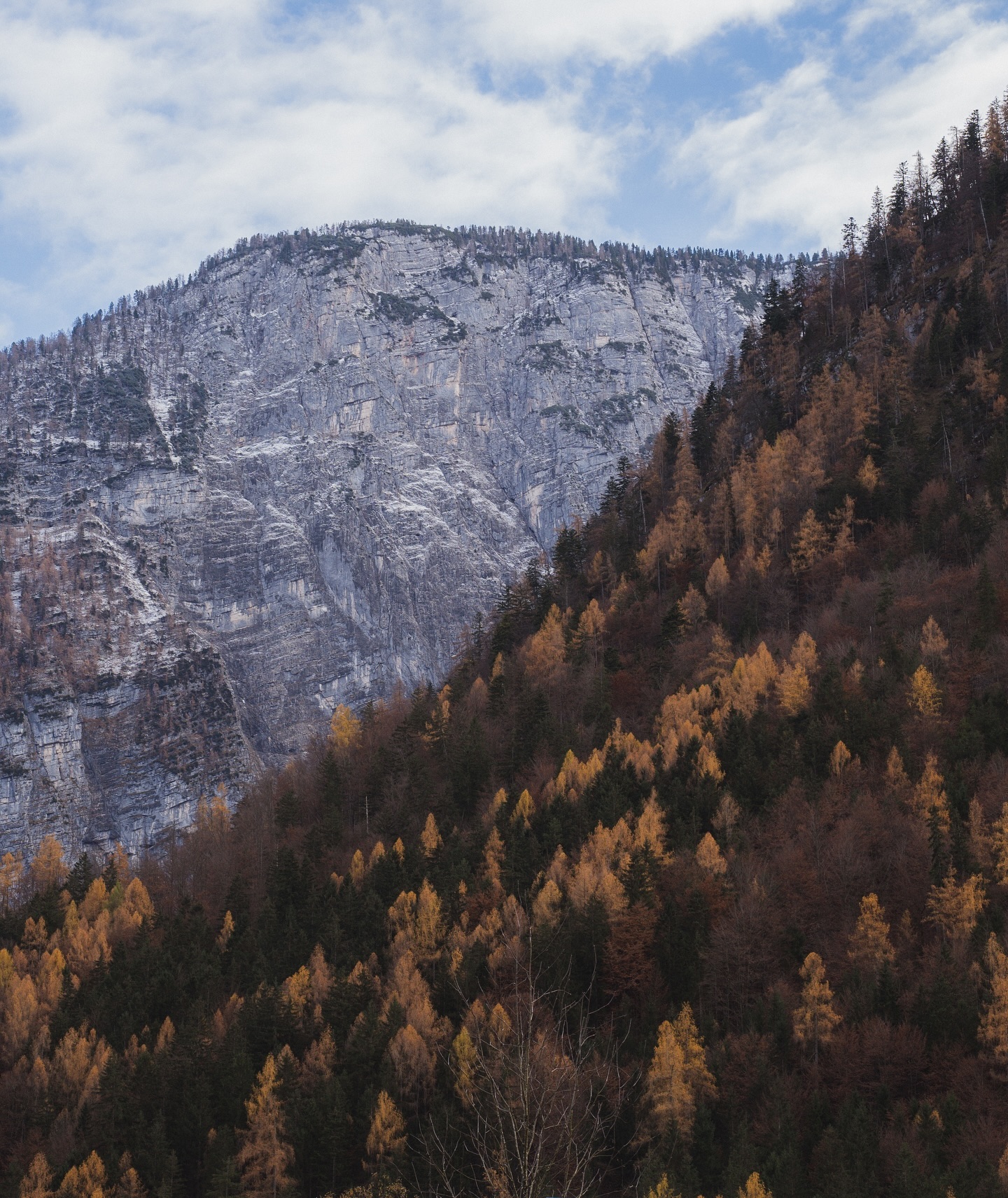 Valle austriaco en blanco y negro granulado
