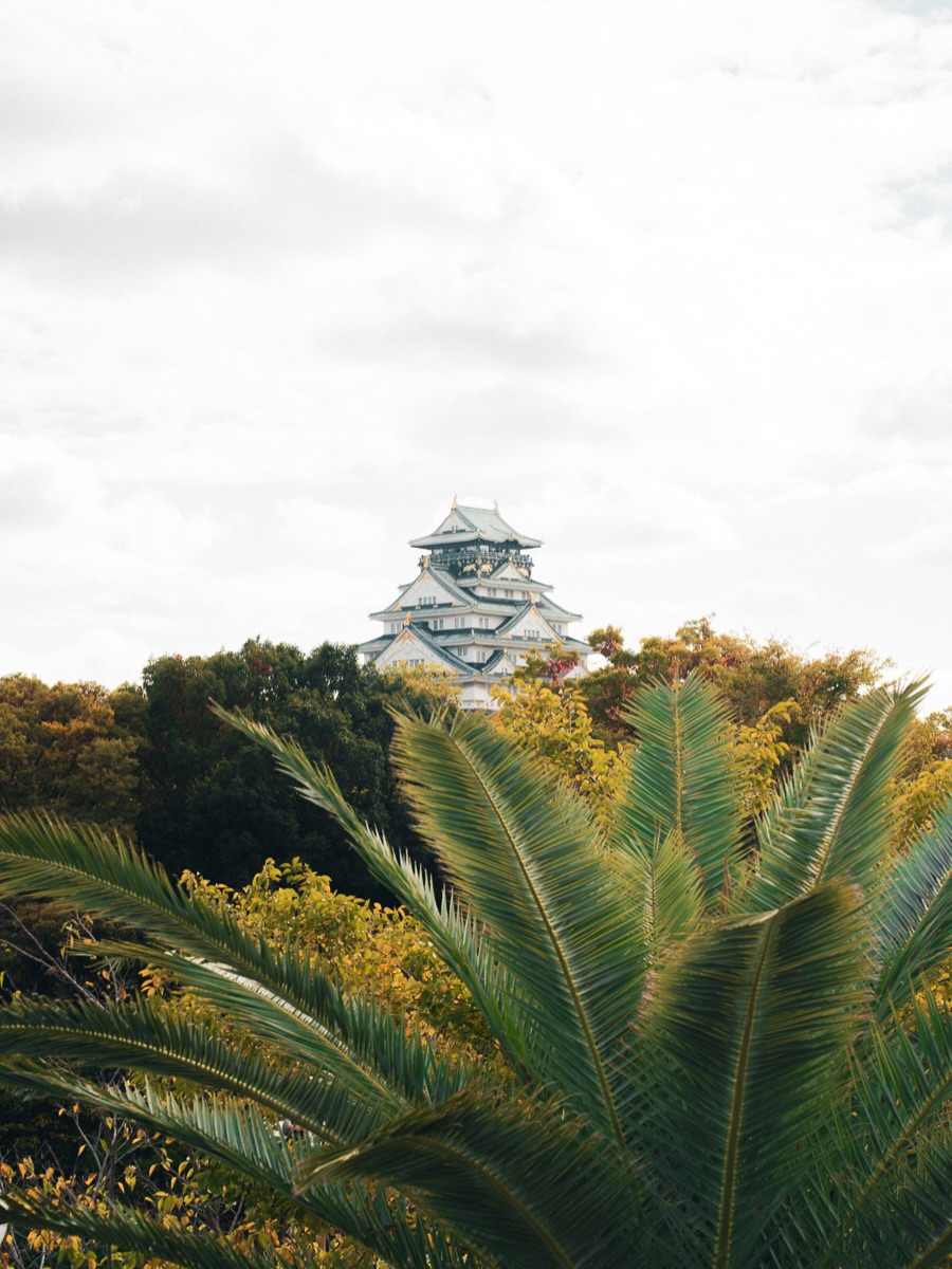 Niña con hakama roja cruzando sola la explanada del Meiji Jingu