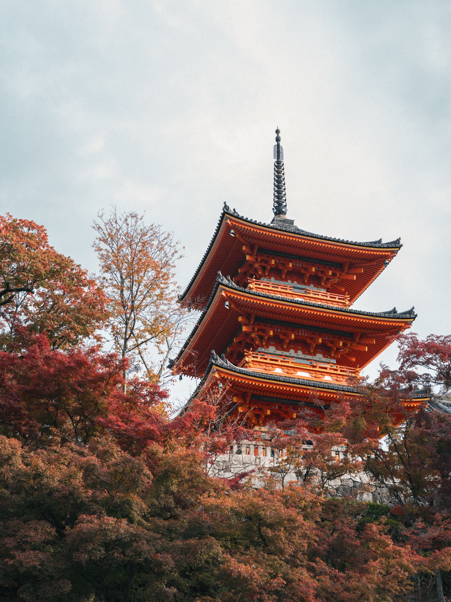 Memorias de Japón — vagón de metro convertido en bodegón