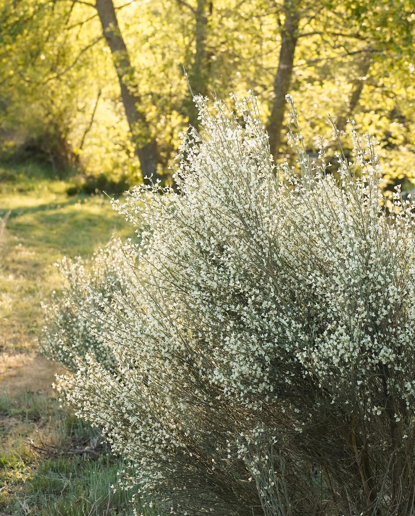 Fotografía de la serie Norte: acantilados, maizales o claustros del norte de España · fotograma 07